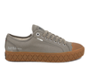 74447-308-M | PALLA ACE CVS ORG